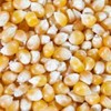 HI-POP Yellow Mushroom Popcorn - Bulk 50lb Bags