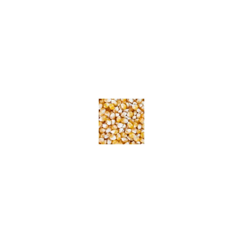 HI-POP Yellow Mushroom Popcorn - Bulk 50lb Bags