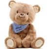 Weighted Anxiety Comfort Animal – 5 lb Brown Bear Calming
