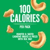 Emerald Nuts Roasted and Salted Cashews 7ct (1-Pack), 100-Calorie Individual