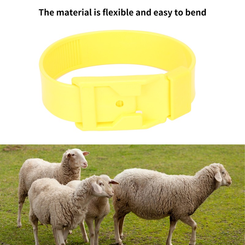 10Pcs Goat Collar Sheep Identification Bands Livestock Marking Ring Farming