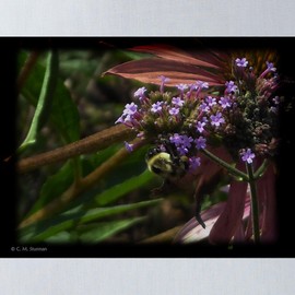 CafePress Purple Flowers With Bee 13"x13" Reusable Grocery Shopping Sling Tote Bag
