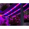 Lunartec LED Plant Light: LED Plant Growth Strips, 150 Red