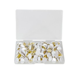 GCYQOOD 100 Pcs White Thumb Tacks， Plastic Flat Thumb Tacks，0.39 inches Round Tacks， Push Pins for The Wall for Bulletin Boards, Cork Board， School, Home， Photo Wall, Reuse (100, White)
