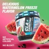 BPI Sports CLA + Carnitina - 100 Porciones - 700