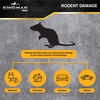 Kingman Prime Rat Mouse Rodent Pest Glue Trap (Large Size)