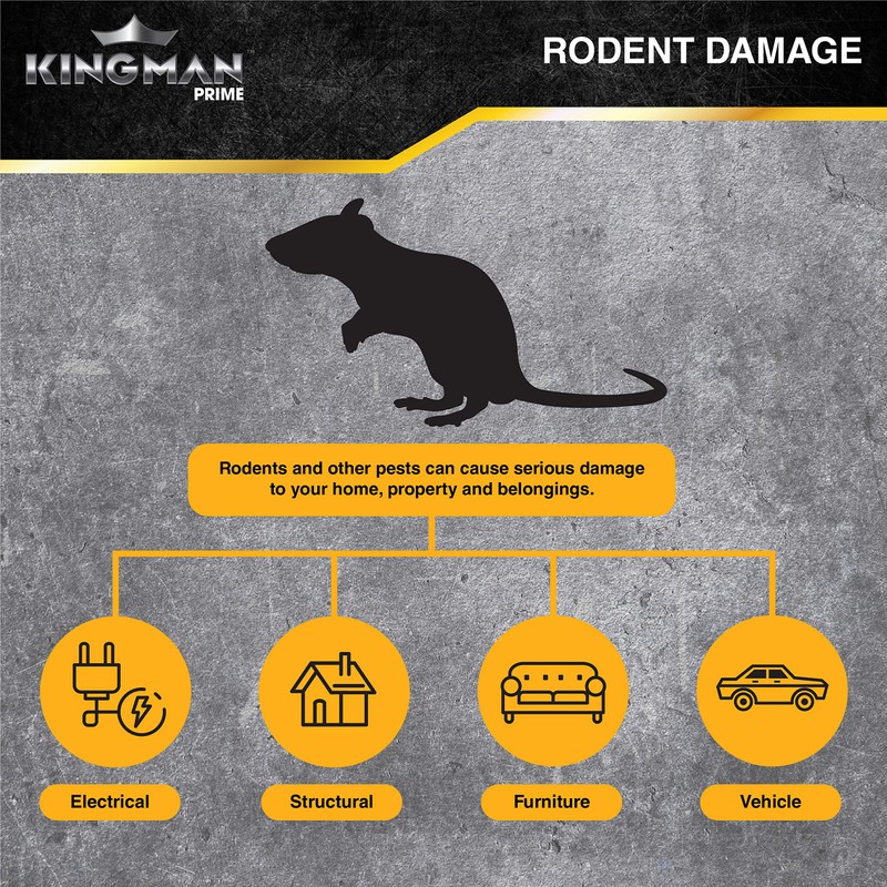 Kingman Prime Rat Mouse Rodent Pest Glue Trap (Large Size)