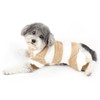 Ranphy Striped Fleece Dog Pajamas for Small Dogs Boys and