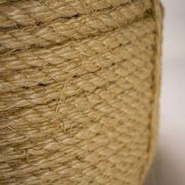 Sisal Rope | 100% Natural Fiber | 3 Stand Twisted | Cat Scratch Post | Bird Rope | 3/4 inch x 75 feet
