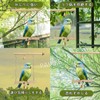 PAVIKE Bird Perch Stunt, Perch Stage, Swing Wood, Claw Sharpener,