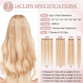 SEGOHAIR Clip in Hair Extensions Human Hair, 10inch 85g 7Pcs Dark Blonde with Bleach Blonde 100% Real Human Hair Double Weft Straight Clip in Hair Extension Seamless for Effortless Volume