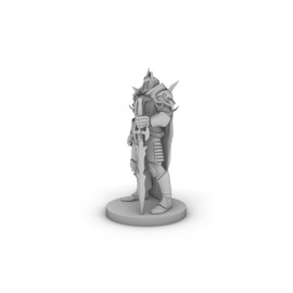 Fallen Paladin Tabletop DND Gaming Miniature