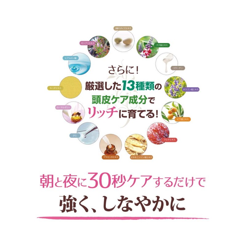 Belfavour EGF Formulated Scalp Serum, Unisex, 3.4 fl oz (100