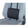 Big Ant Lumbar Support Cushion,Car Back Support Cushion for Lower
