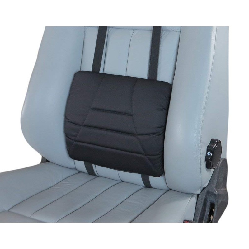 Big Ant Lumbar Support Cushion,Car Back Support Cushion for Lower