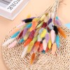 sourcing map 50pcs Natural Dried Pampas Rabbit Bunny Tails Dried