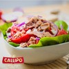 Callipo Canned Solid Light Tuna in Water, 3 Cans x