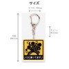 SunAge Keychain, Riding on Nori, Pictogram Funny Key Chain, Keyring,