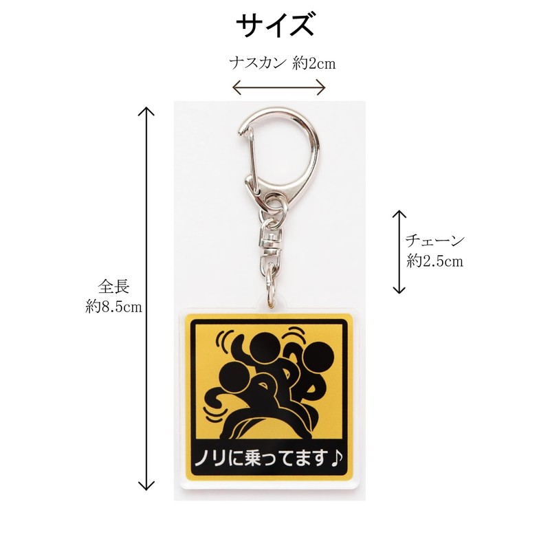 SunAge Keychain, Riding on Nori, Pictogram Funny Key Chain, Keyring,