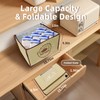 Folding Bread Proofing Box with 50~113℉ Temp Control & 48H