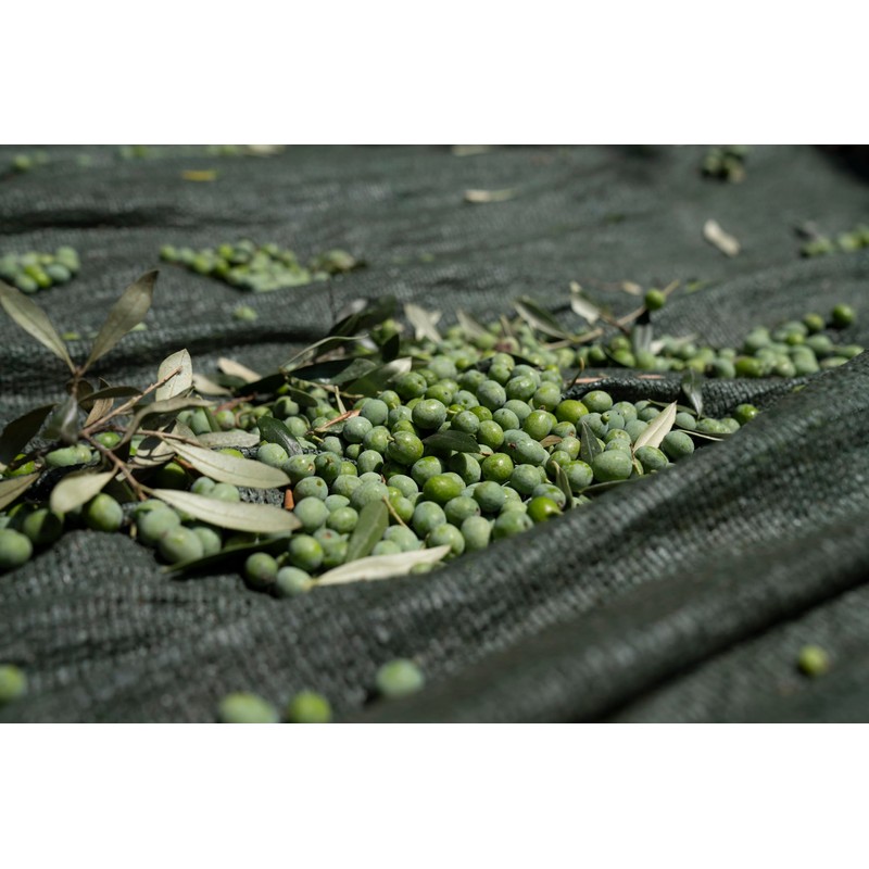 Cinagro Goodies For Health Hermus by Cinagro - Extra Virgin