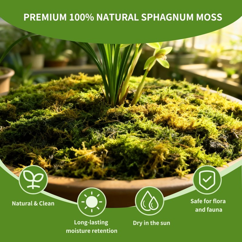 Omitgoter Compressed Sphagnum Moss for Plants & Reptiles (1pc)– Dried