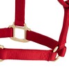 Weaver Leather Original Non-Adjustable Nylon Horse Halter, Large, Red