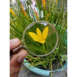 PRIME NAUTICAL Portable Pocket 10X Magnifiers Antique Brass Chain Necklace with 40mm Diameter Glass Magnification Lens Loupe Monocle for Reading Pendant Round Magnifying Glass with Optical Glass