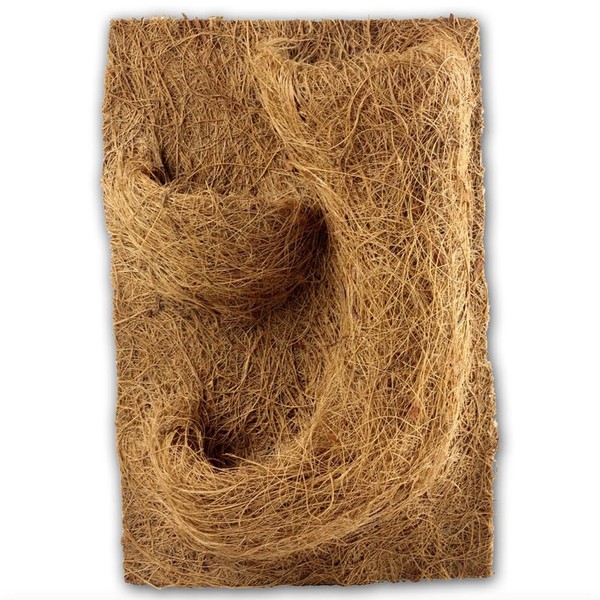 Reptiles Planet Natural Planting Background for Terrarium, 20 x 30