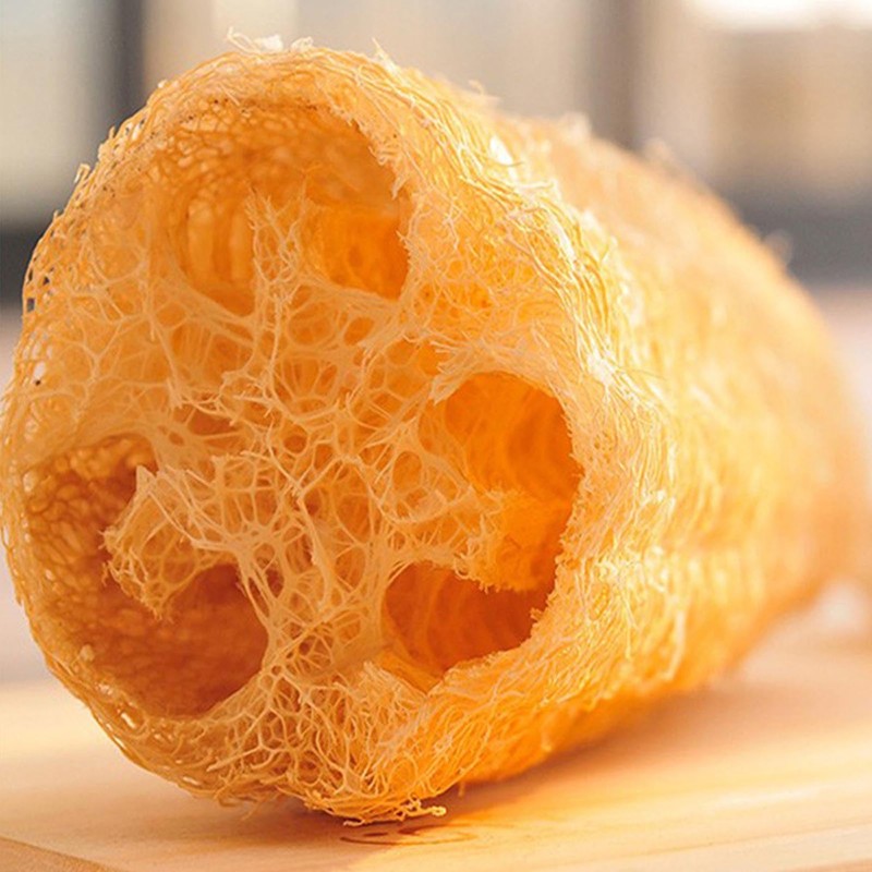 Loofah Dish Sponge, 5 Pack Natural Vegetable Scrubber for Kitchen,