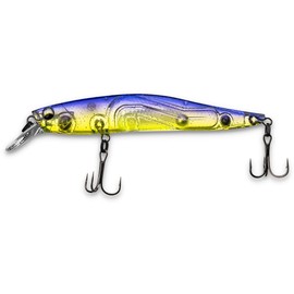 LMAB Flash Vibe 67, 80 & 98 mm - Twitchbait - Suspending & Floating, Hardbait, Wobbler Bass, Suspender Wobbler, Zander Wobbler (Running Depth 0.5-1.2 m | Slow Rising Purple Rave, 98 mm)