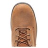 Carolina Men's Surveyor 8" Steel Toe Waterproof Work Boot, Brown