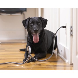 PetCords XL 20 FT Heavy Duty, Extra Strength Dog and Cat Cord Protector- Protects Your Pets from Chewing Through Insulated Cables for Tough chewers - Unscented, Odorless, Clear 20 FEET