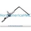 Fits Trane American Standard Furnace Flame Sensor Rod Fits Trane