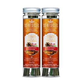 Scentsicles Spiced Pine Cones Scented Christmas Ornaments with Hooks - 2 Bottles (12 Sticks Total)