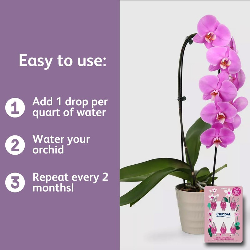 Chrysal Orchid Food Drops — Orchid Care — One Pack