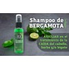 3 Frascos De Shampoo Puro De Bergamota JYE