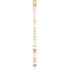 [Baby 31 degrees] Immunity Zero Diskitty Sun Stick 22g /