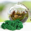 ZUZGO Moss Preserved Decorative Moss for Crafts Moss Picture Model