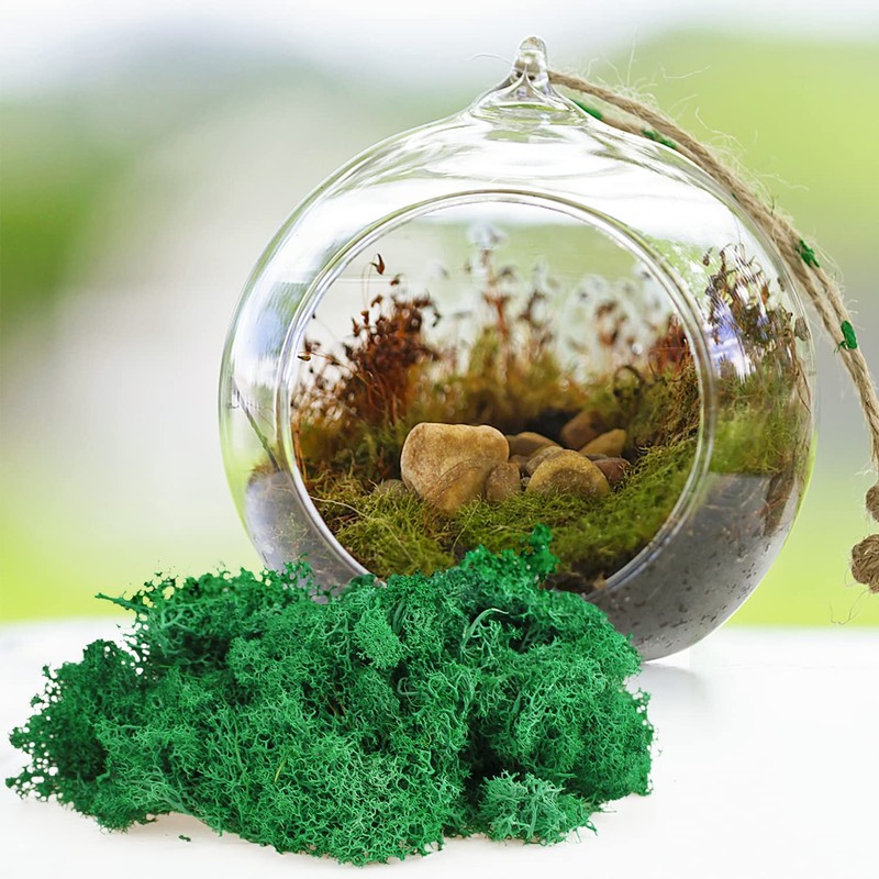 ZUZGO Moss Preserved Decorative Moss for Crafts Moss Picture Model