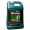EnviroColor 4,000 Sq Feet 4Ever Green Grass and Turf Paint