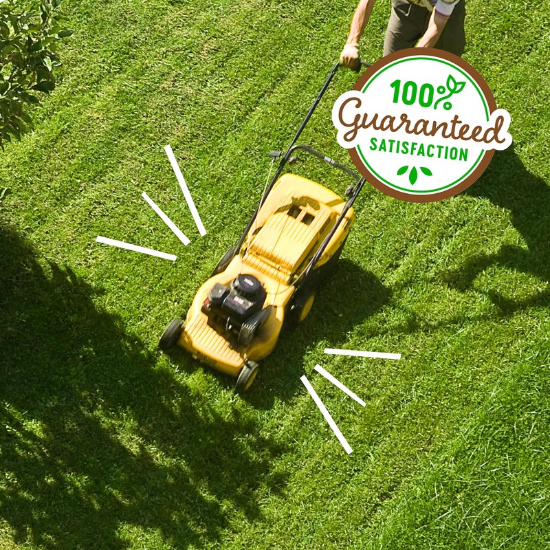 Back to the Roots 100% Organic Liquid Lawn Food 32oz