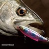 Daiwa Morethan Salt Vibe 72S Vibration Seabass Lure, Nightless Castle