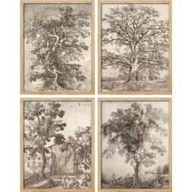 SIGNWIN Framed Poster Forest Tree Sketches Sepia Duotone Wilderness Nature Illustrations Fine Art Decorative Country/Farmhouse Vintage for Living Room, Bedroom, Office - 12"x16"x 4 Natural