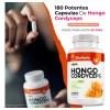 Bioherb Hongo Cordyceps Militaris Extracto 100 Puro Potente Adaptogeno Natural