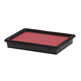 Purolator A24675 PurolatorONE Filtro de Aire Avanzado para Motor