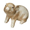 Cepewa Piglet Lucky Pig Piggy Bank Champagne Colours 20 x