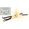 Organic Madagascar Vanilla Bean Pods - Whole Bourbon-Madagascar Beans for