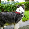 PetBonus Dog Collar Safety Clip, Handmade Backup Safety Strap for