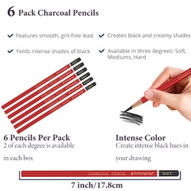Daerthotk 6 pack Charcoal Pencils Drawing Set - Soft, Medium and Hard Charcoal Pencils for Drawing, Sketching, Shading, Artist Pencils for Beginners Artists